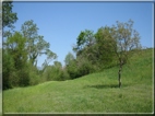 foto Colline tra Fonte Alto e Paderno del Grappa